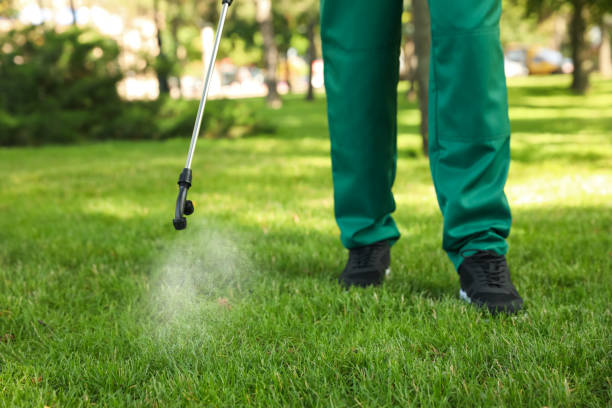 Best Pest Inspection Near Me  in Belmont, CA